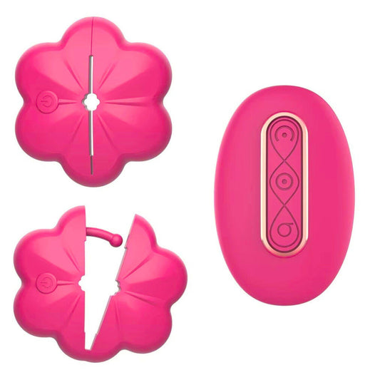 Pinzas vibradoras para pezones 🌸